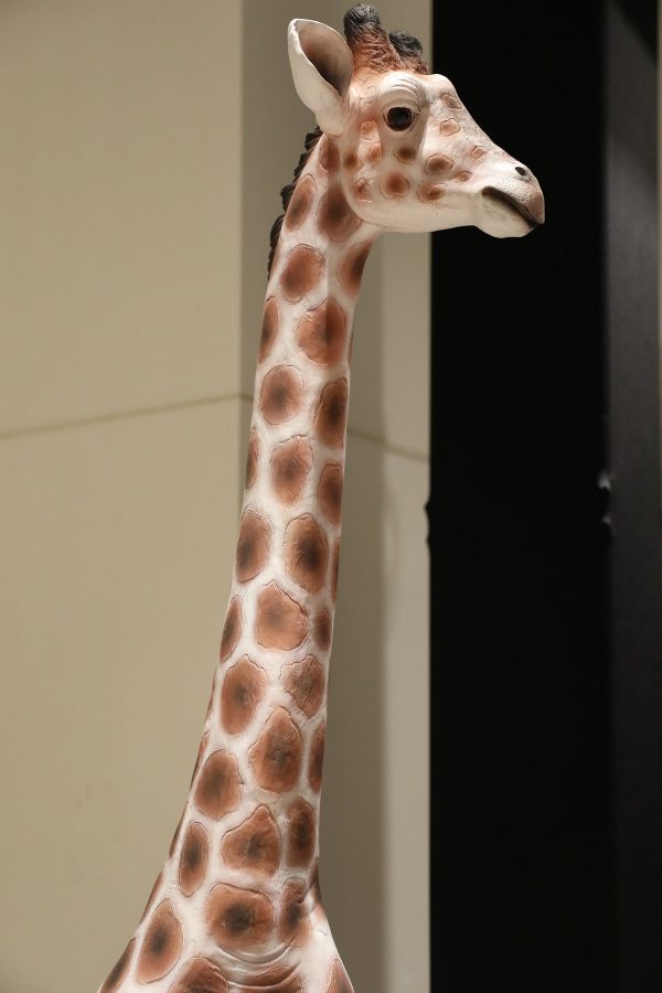 Fiesta Meliá Ibtm 2018